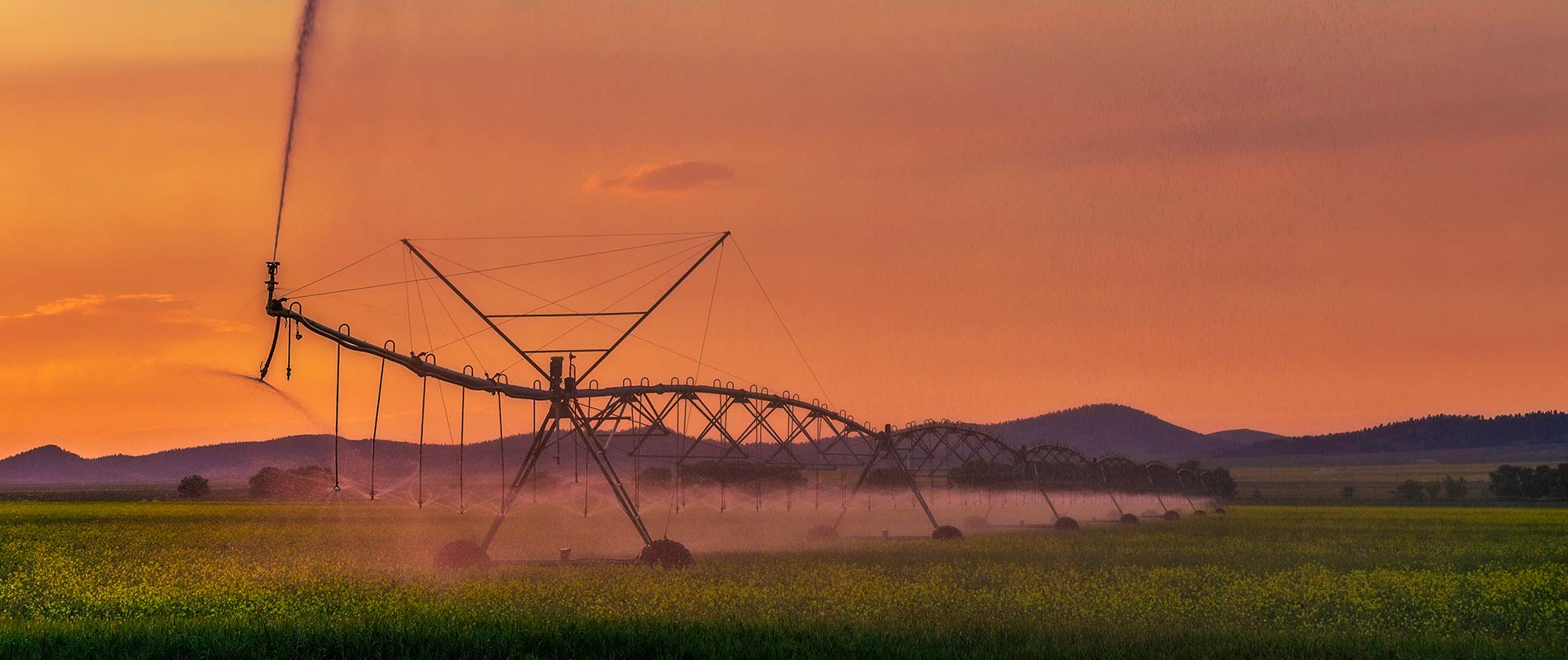 Montana field being watered
